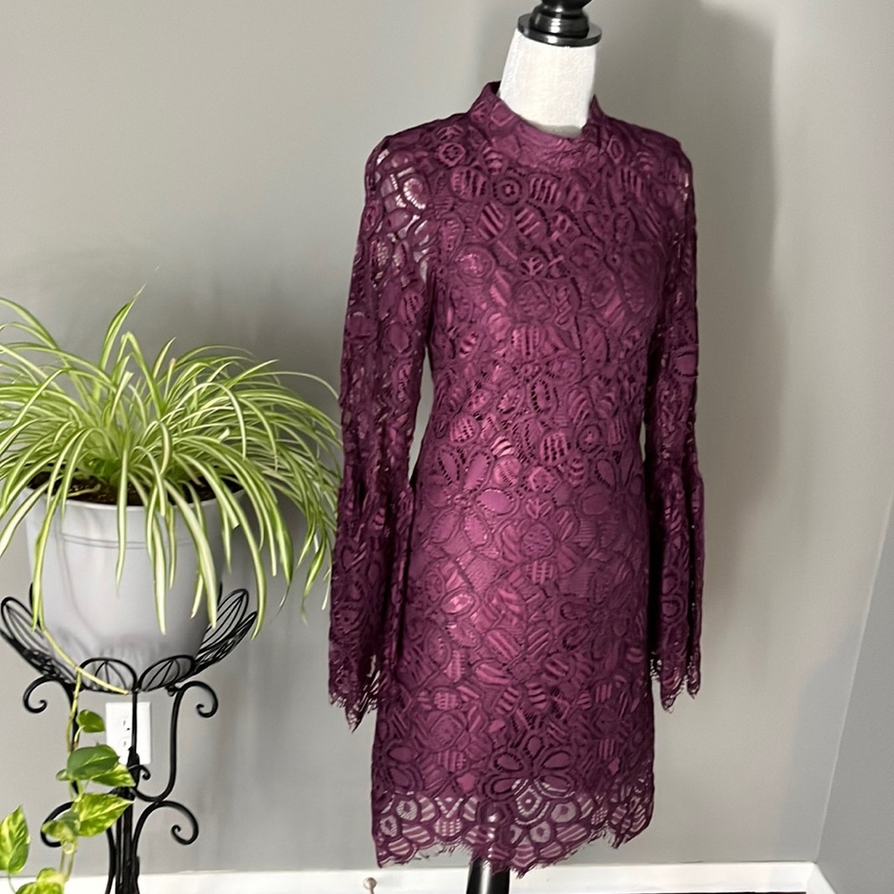 Allison plum colored elegant dress